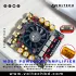 Wuzhi Audio ZK-AS21P 300W + 300W + 600W (Sub) 2.1 Channel Bluetooth Digital Power Amplifier Board | Voltech Electronics